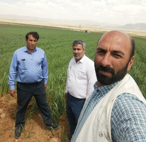 تصویر هیئت مدیره و مدیرعامل